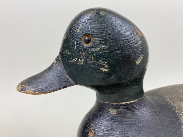 Ferman Erye Blue Bill, Circa 1930's (#7310)