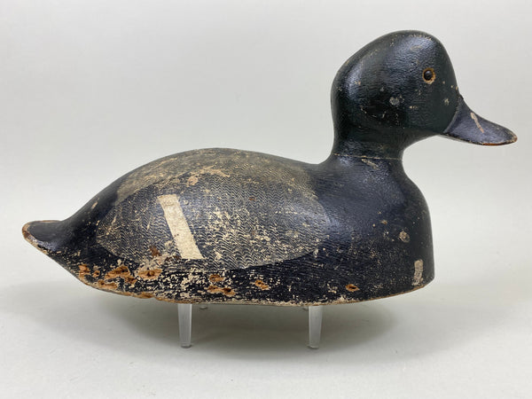 Ferman Erye Blue Bill, Circa 1930's (#7310)