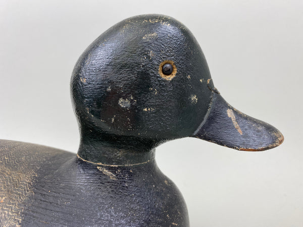 Ferman Erye Blue Bill, Circa 1930's (#7310)