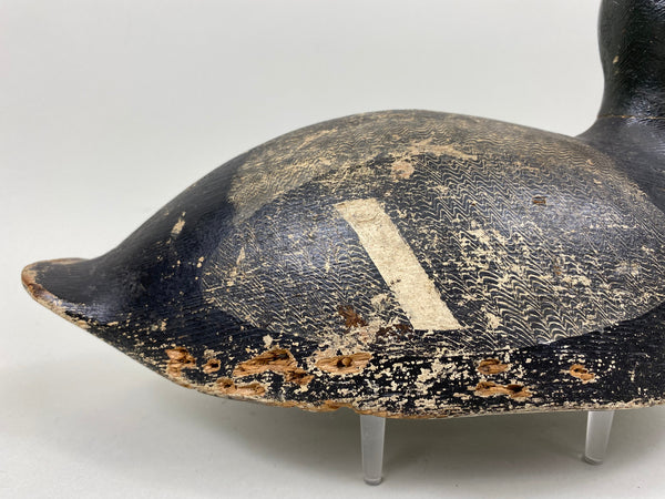 Ferman Erye Blue Bill, Circa 1930's (#7310)