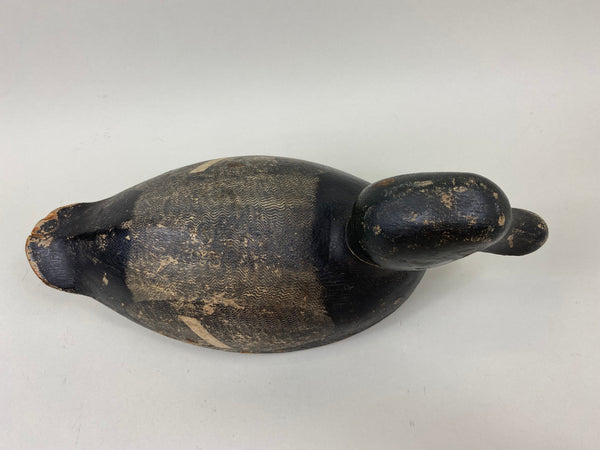 Ferman Erye Blue Bill, Circa 1930's (#7310)