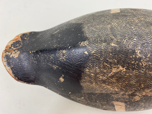 Ferman Erye Blue Bill, Circa 1930's (#7310)