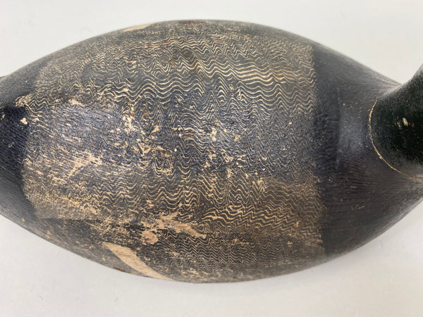 Ferman Erye Blue Bill, Circa 1930's (#7310)