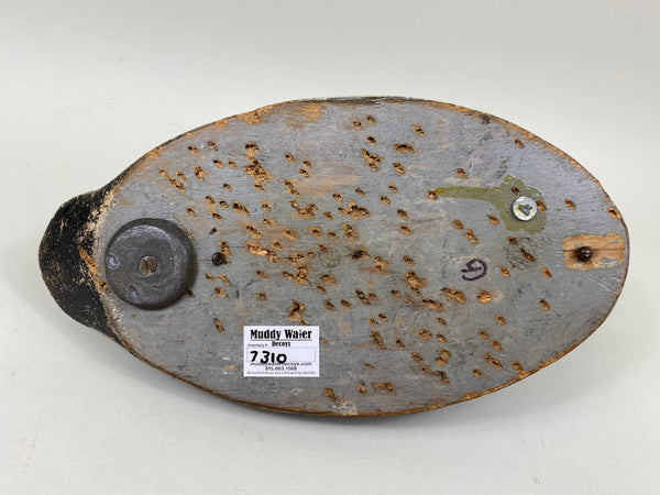 Ferman Erye Blue Bill, Circa 1930's (#7310)