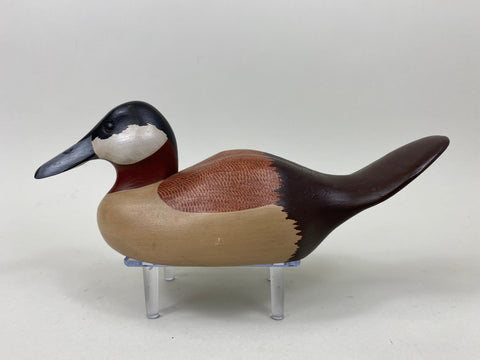 Dave Frier ruddy Duck (#7348)