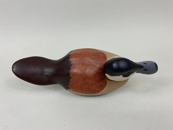 Dave Frier ruddy Duck (#7348)