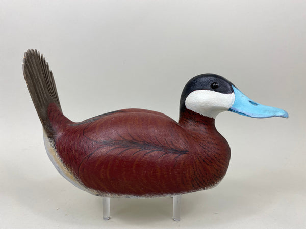 R. Ward Ruddy Duck (#7349)
