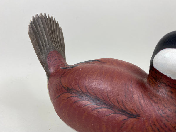 R. Ward Ruddy Duck (#7349)