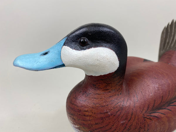 R. Ward Ruddy Duck (#7349)