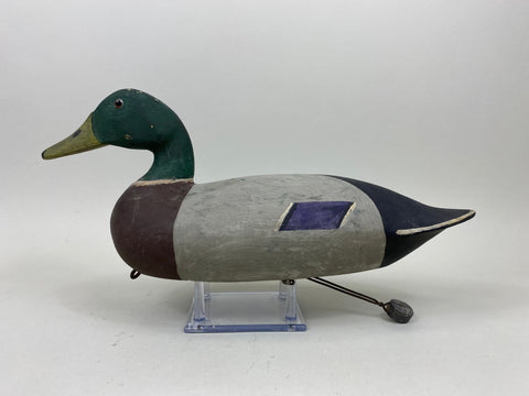 Harry Canfield Mallard Drake (#7359)