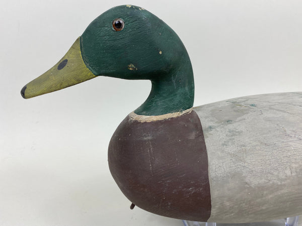 Harry Canfield Mallard Drake (#7359)