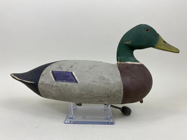 Harry Canfield Mallard Drake (#7359)