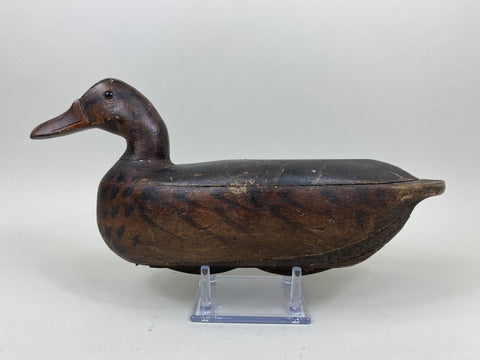 Walter "Tube" Dawson Mallard Hen (#7360)