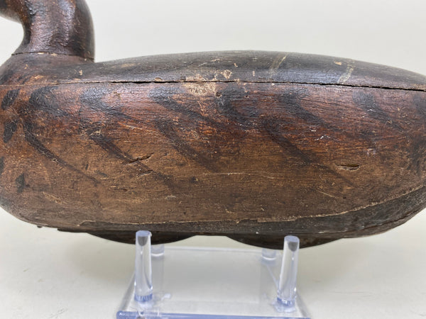 Walter "Tube" Dawson Mallard Hen (#7360)