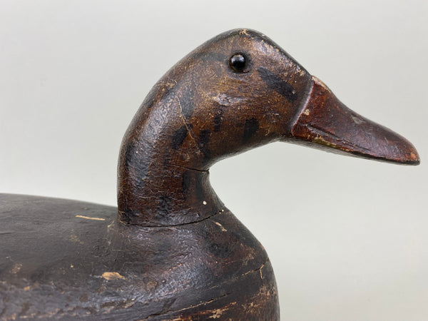 Walter "Tube" Dawson Mallard Hen (#7360)