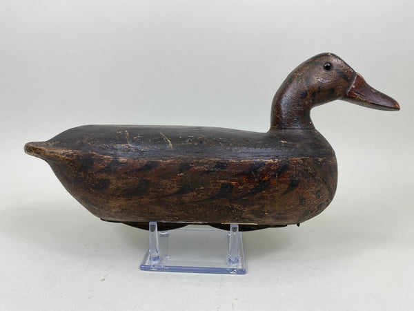 Walter "Tube" Dawson Mallard Hen (#7360)
