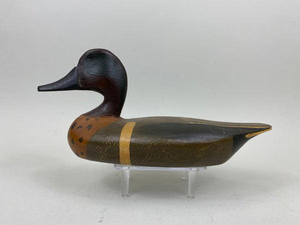 Perry Wilcoxen Green Wing Teal (#7363)