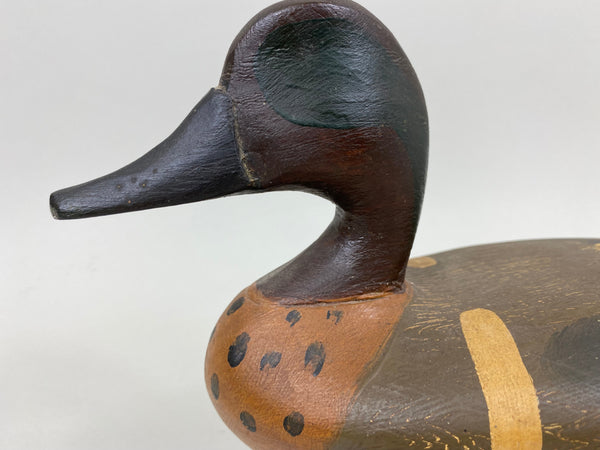 Perry Wilcoxen Green Wing Teal (#7363)