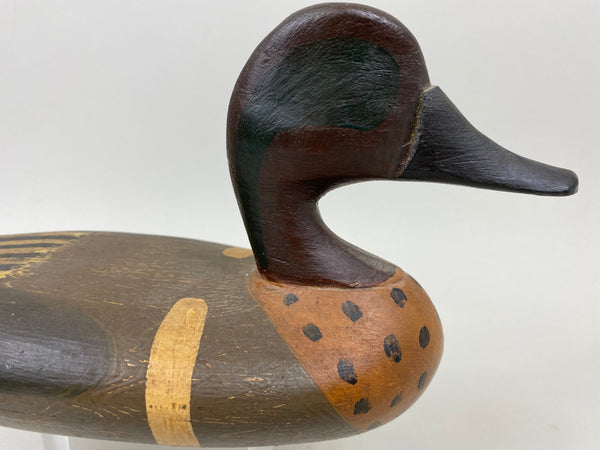 Perry Wilcoxen Green Wing Teal (#7363)