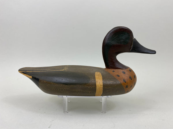 Perry Wilcoxen Green Wing Teal (#7363)