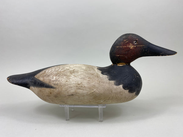 Mason Standard Grade Canvasback Drake (#7377)