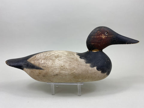 Mason Standard Grade Canvasback Drake (#7377)