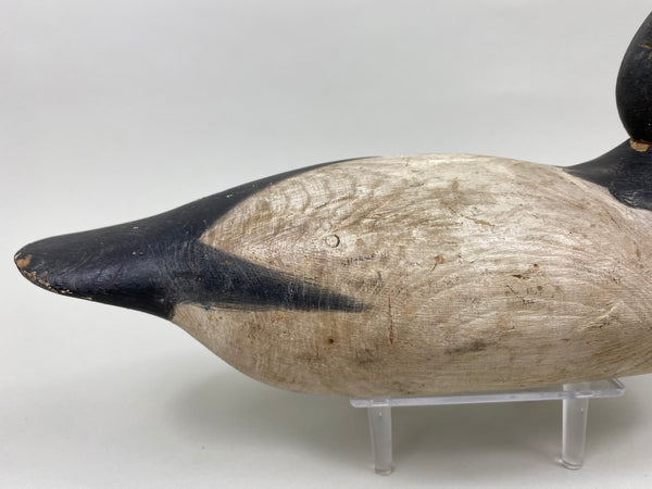 Mason Standard Grade Canvasback Drake (#7377)