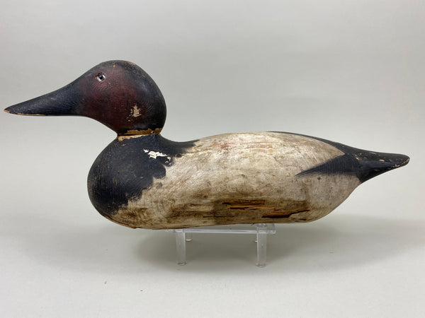 Mason Standard Grade Canvasback Drake (#7377)