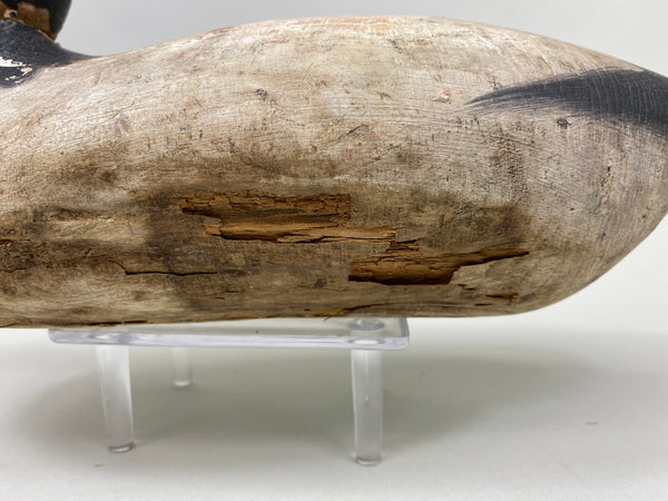 Mason Standard Grade Canvasback Drake (#7377)