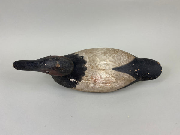 Mason Standard Grade Canvasback Drake (#7377)
