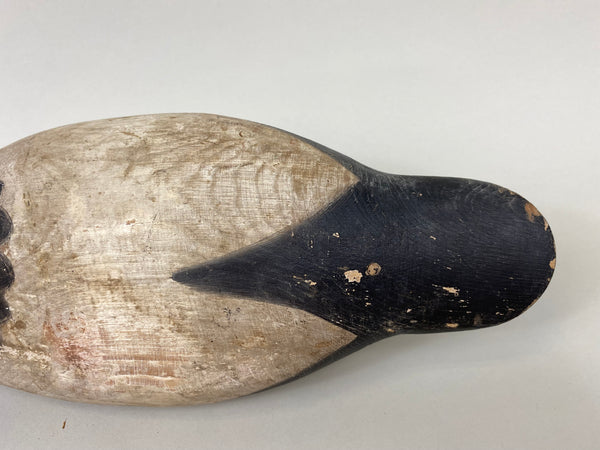 Mason Standard Grade Canvasback Drake (#7377)