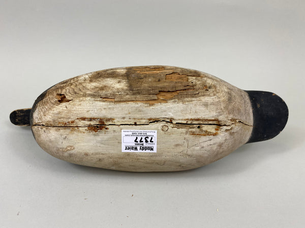 Mason Standard Grade Canvasback Drake (#7377)