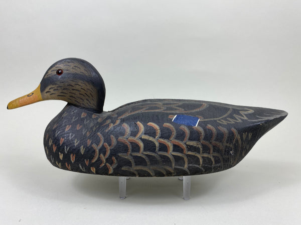 Herterse 1893 Series Black Duck (#7381)