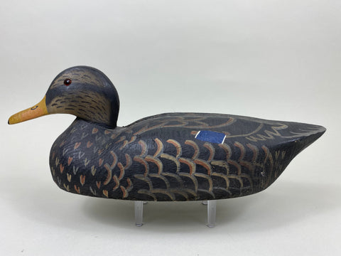 Herterse 1893 Series Black Duck (#7381)