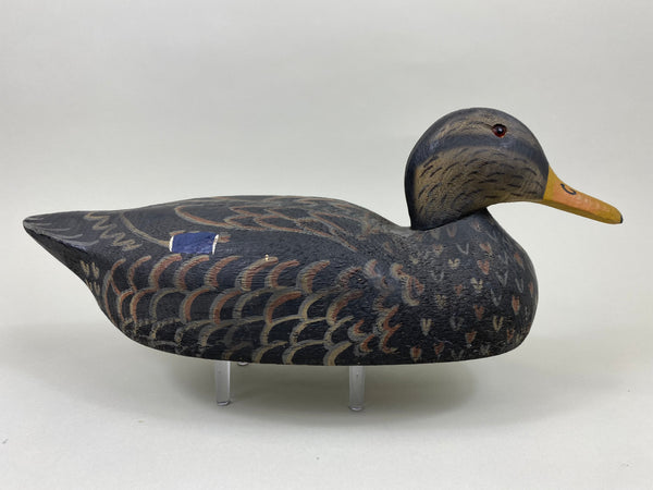 Herterse 1893 Series Black Duck (#7381)