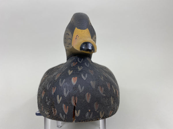 Herterse 1893 Series Black Duck (#7381)