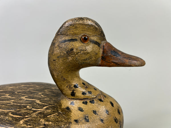 Otto Garren Mallard Hen (#8736)