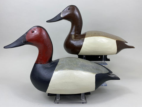 Sports Afield Duck Club Pair of Canvasback, Stamped (#7399)