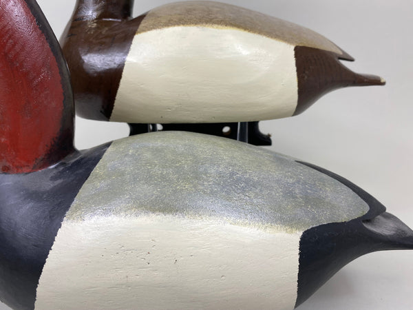 Sports Afield Duck Club Pair of Canvasback, Stamped (#7399)