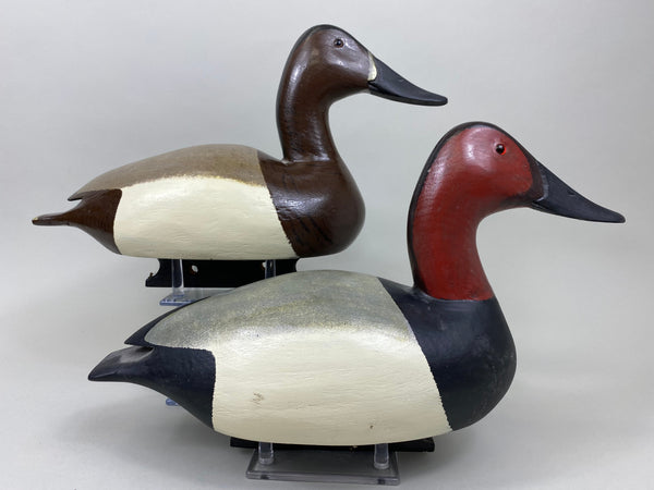 Sports Afield Duck Club Pair of Canvasback, Stamped (#7399)