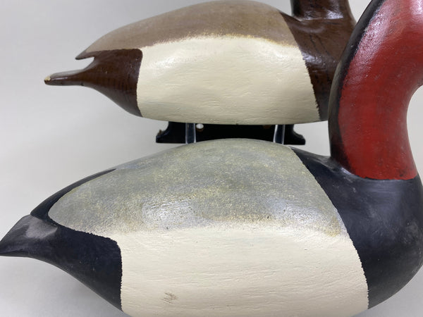Sports Afield Duck Club Pair of Canvasback, Stamped (#7399)