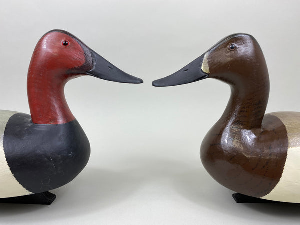 Sports Afield Duck Club Pair of Canvasback, Stamped (#7399)