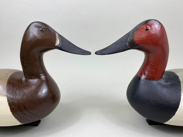 Sports Afield Duck Club Pair of Canvasback, Stamped (#7399)