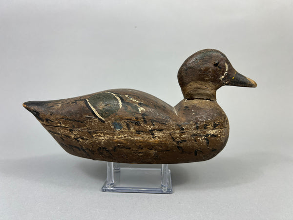 Unknown Illinois River Teal Drake (#1070)