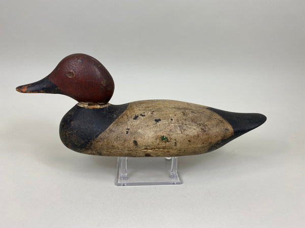 Mason 4th Grade Canvaback Drake (#7413)