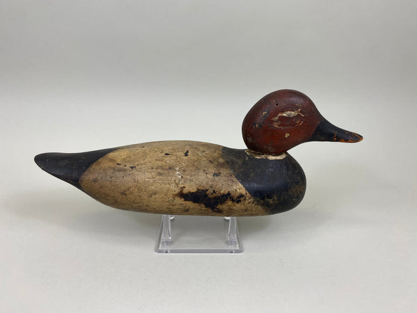 Mason 4th Grade Canvaback Drake (#7413)