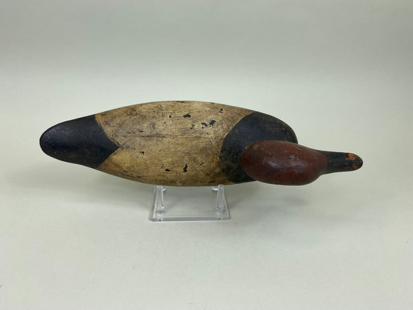 Mason 4th Grade Canvaback Drake (#7413)