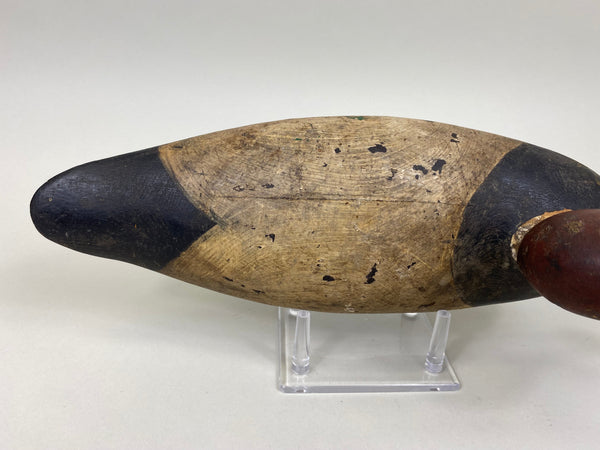 Mason 4th Grade Canvaback Drake (#7413)