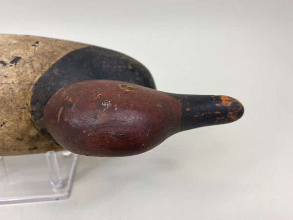 Mason 4th Grade Canvaback Drake (#7413)