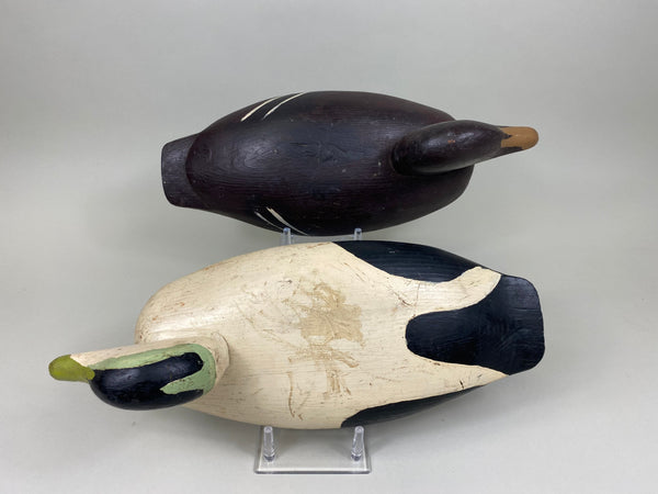 Pair of Archie Levy Eiders (#7421)